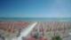 Tortoreto Lido 27.05.2025 10:49