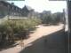 Radolfzell am Bodensee 09.07.2025 10:49