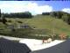 Albstadt-Tailfingen 09.05.2025 10:45