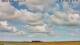 Hallig Hooge 02.07.2025 10:50