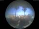 Alba Adriatica 01.07.2025 10:50