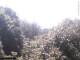 Herdecke 30.04.2025 10:50