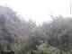 Herdecke 08.06.2025 10:50
