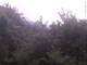 Herdecke 05.07.2025 10:50