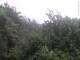 Herdecke 06.07.2025 10:50