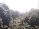 Herdecke 11.05.2025 10:50