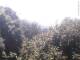 Herdecke 18.04.2025 10:50