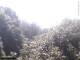 Herdecke 29.04.2025 10:50