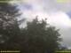 Nettetal 11.07.2025 10:50