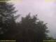 Nettetal 13.07.2025 10:53