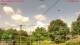 Catcham 14.06.2025 10:51
