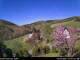 Diedenshausen (Bad Berleburg) 30.04.2025 10:51