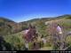 Diedenshausen (Bad Berleburg) 11.05.2025 10:51