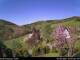 Diedenshausen (Bad Berleburg) 29.04.2025 10:51