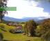 Langenegg 12.07.2025 10:51