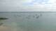 Fouesnant 09.06.2025 10:51