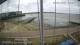 Brightlingsea 05.07.2025 10:51