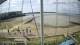 Brightlingsea 14.06.2025 10:51