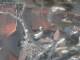 Dinkelsbühl 12.06.2025 10:51