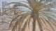 Vinaros 30.04.2025 10:45