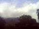 El Paso (La Palma) 15.06.2025 10:45