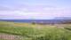 Laukvik 15.06.2025 10:52