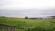 Laukvik 14.06.2025 10:52