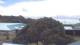Keaau, Hawaii 14.06.2025 10:47