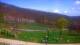 Nellysford, Virginia 29.04.2025 10:48