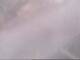 Fort Lauderdale, Florida 14.06.2025 10:49