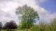 Harriman, New York 01.07.2025 10:51