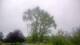 Harriman, New York 08.06.2025 10:51