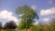 Harriman, New York 15.07.2025 10:51