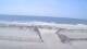 Margate City, New Jersey 29.04.2025 10:51