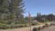 Wishkah, Washington 11.07.2025 10:55
