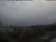 Mataro 30.04.2025 10:46