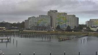 yachthafen damp webcam