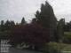 Son en Breugel 15.06.2025 11:46