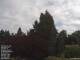 Son en Breugel 10.07.2025 11:46
