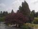 Son en Breugel 09.06.2025 11:46