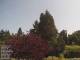 Son en Breugel 21.06.2025 11:46