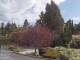 Son en Breugel 25.03.2025 11:46