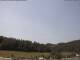 Neuenhof im Aargau 09.06.2025 11:52