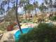 Cabarete 08.06.2025 11:46