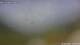 Pettneu 14.06.2025 11:46