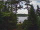 Hoel Pond, New York 14.07.2025 11:58