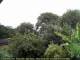 Audley 20.06.2025 11:53