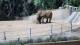 Escondido, California 04.07.2025 11:53