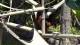 San Diego, California 30.04.2025 11:53