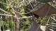 San Diego, California 03.07.2025 11:53